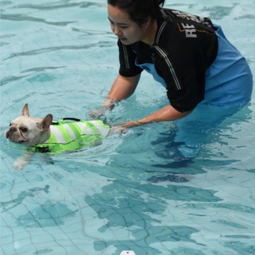 Reflective Dog Life Jacket Sup - Life Jacket Buoyancy incelemesi ve fiyatı