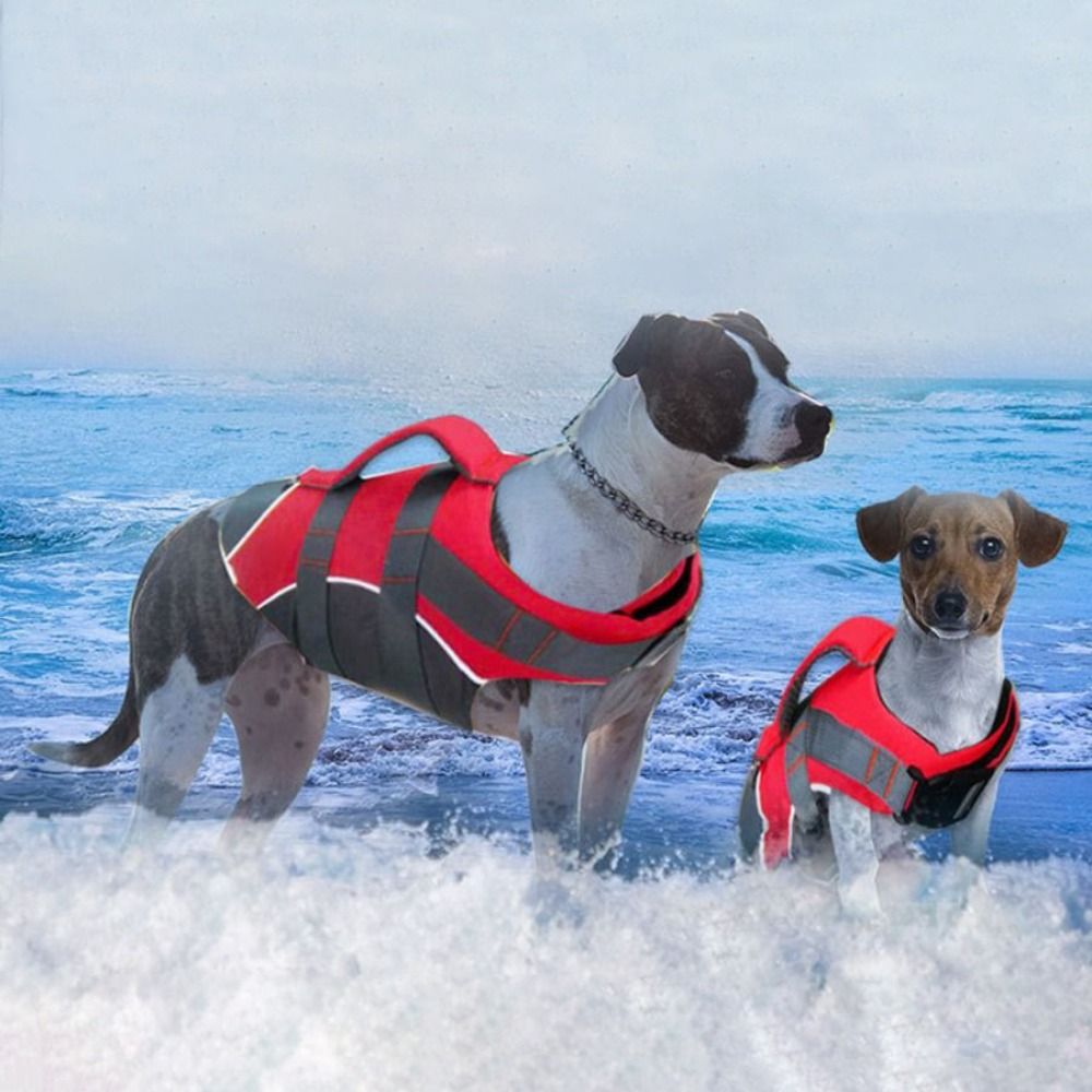 Reflective Dog Life Jacket Bre - Life Jacket Buoyancy incelemesi ve fiyatı