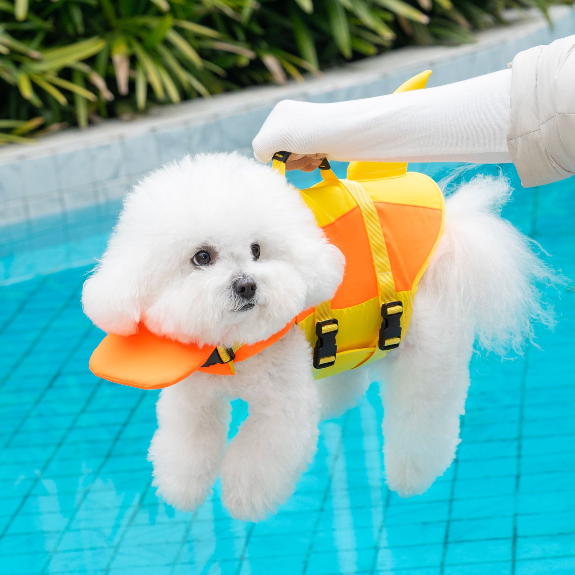 Cute Shark Dog Life Jacket wit - Life Jacket Buoyancy incelemesi ve fiyatı