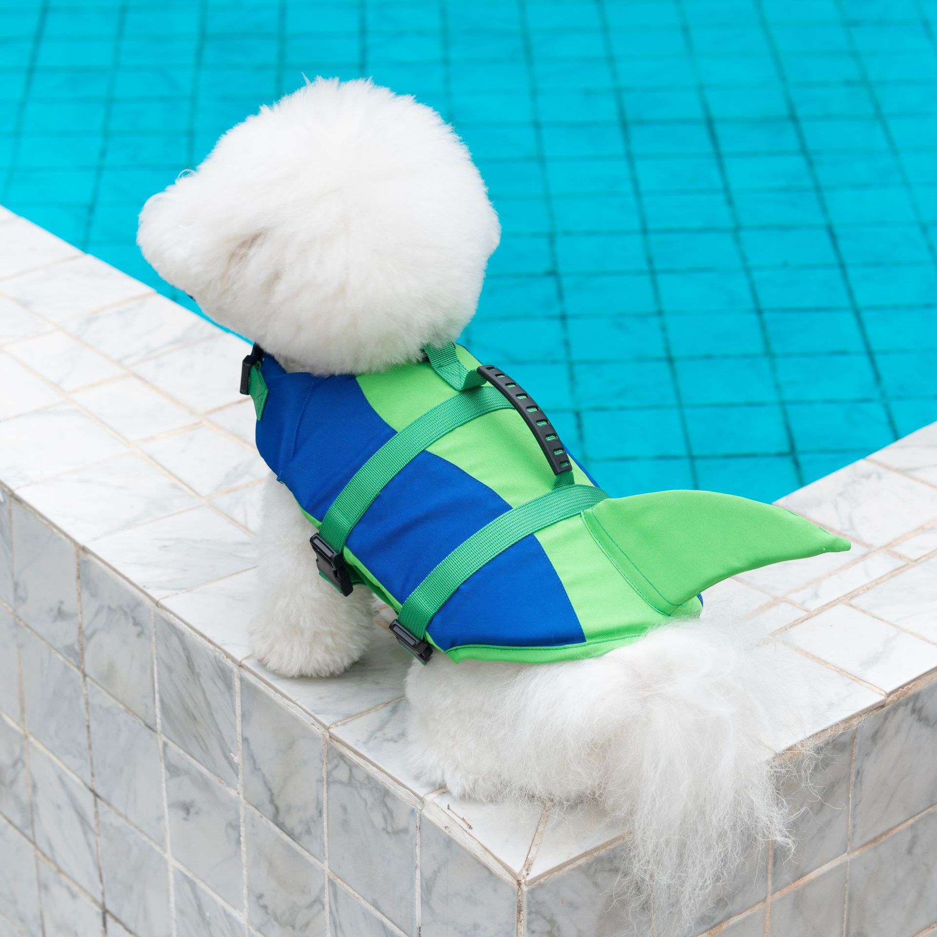 Cute Shark Dog Life Jacket wit - Life Jacket Buoyancy incelemesi ve fiyatı