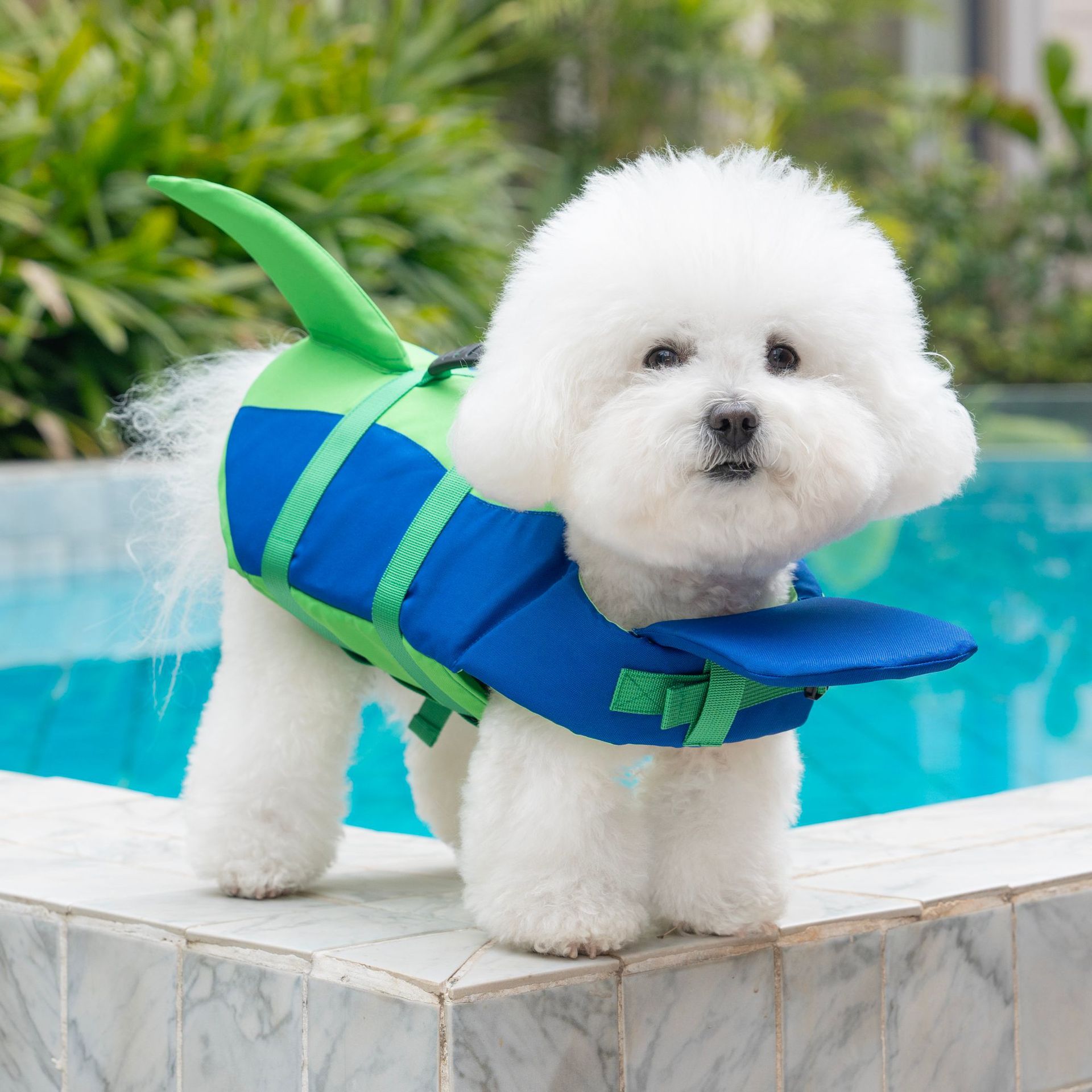 Cute Shark Dog Life Jacket wit - Life Jacket Buoyancy incelemesi ve fiyatı