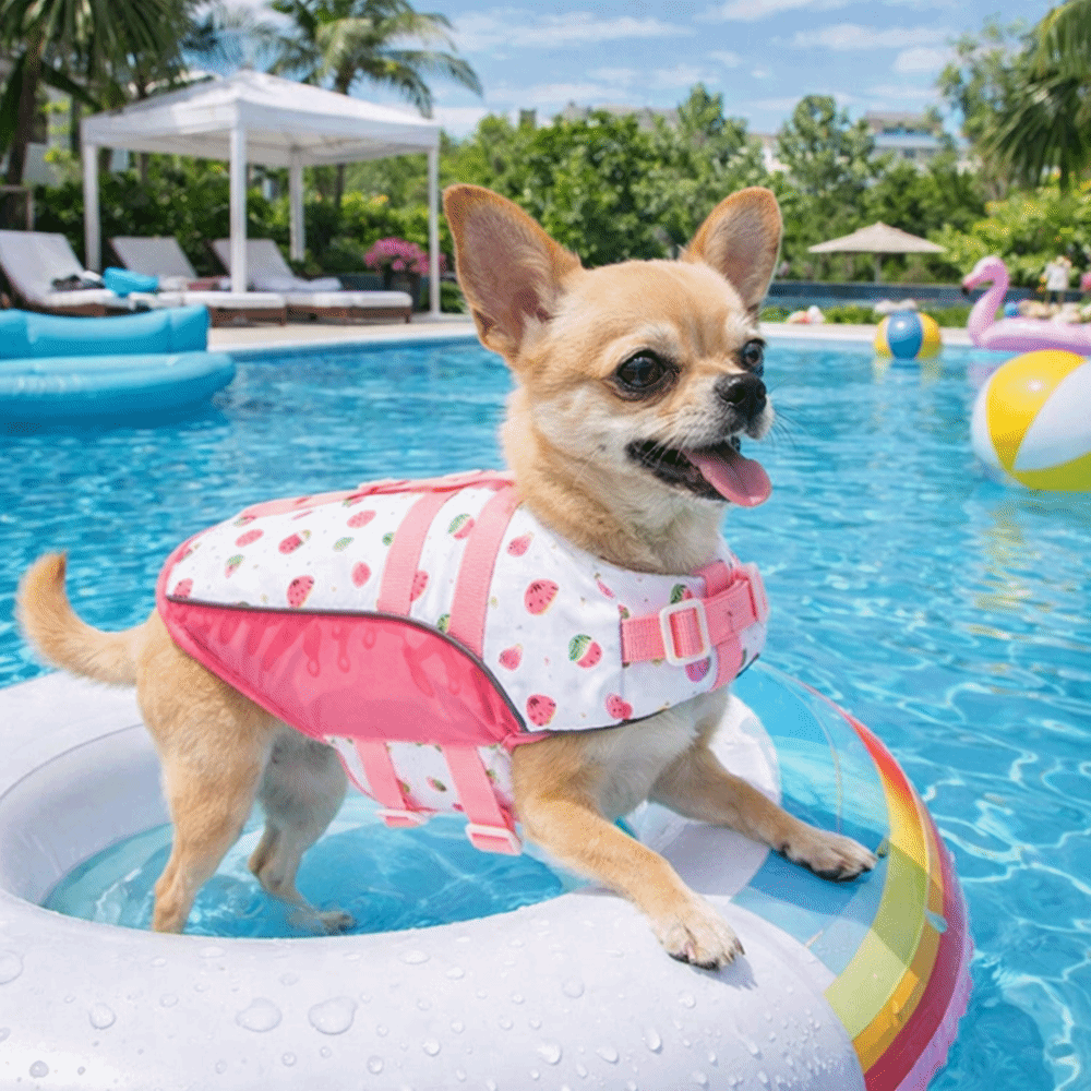 Adjustable Dog Life Jacket Hig - Life Jacket Buoyancy incelemesi ve fiyatı