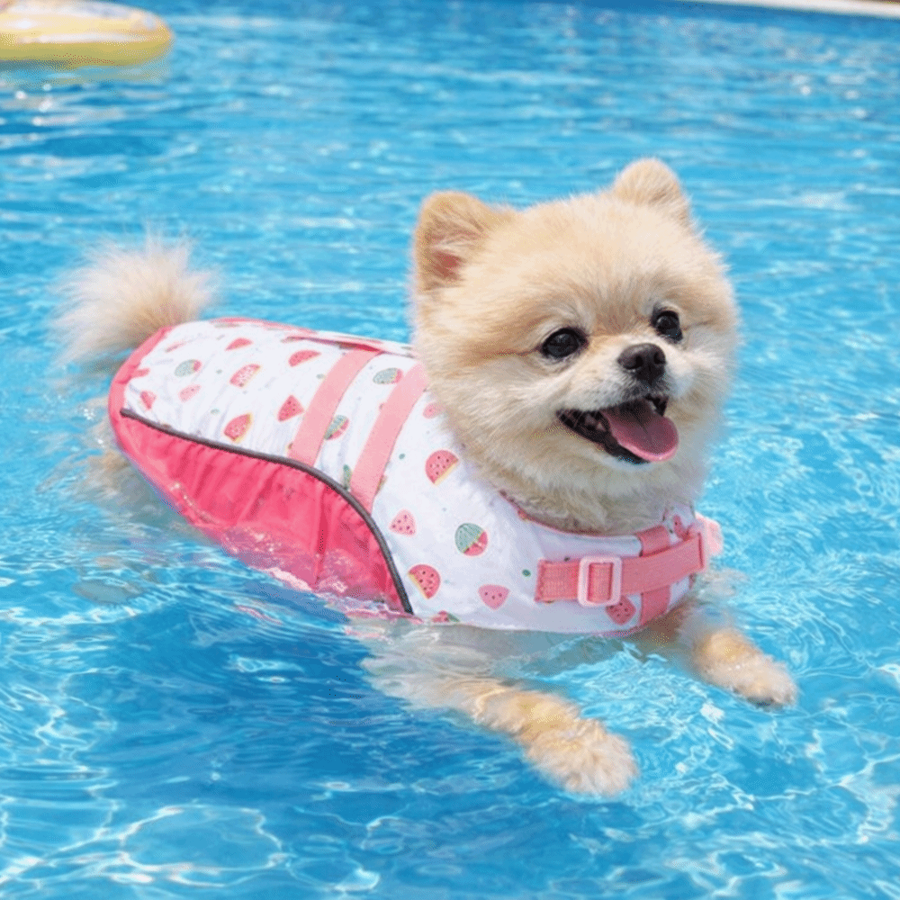 Adjustable Dog Life Jacket Hig - Life Jacket Buoyancy incelemesi ve fiyatı